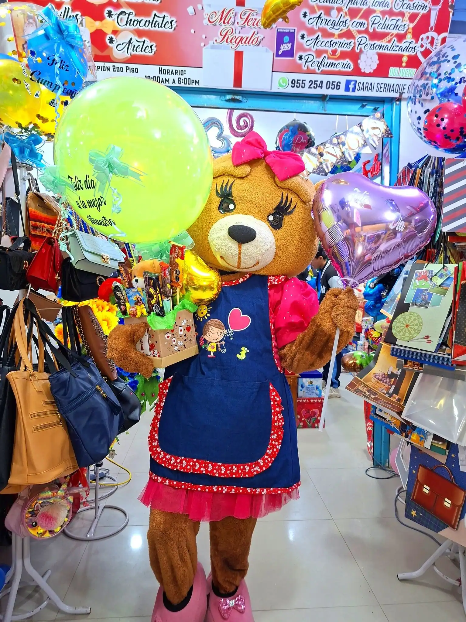 Osita Profesora de Mi Tercer Regalo